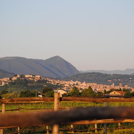 Agriturismo Il Barco Villa Spello Exterior photo