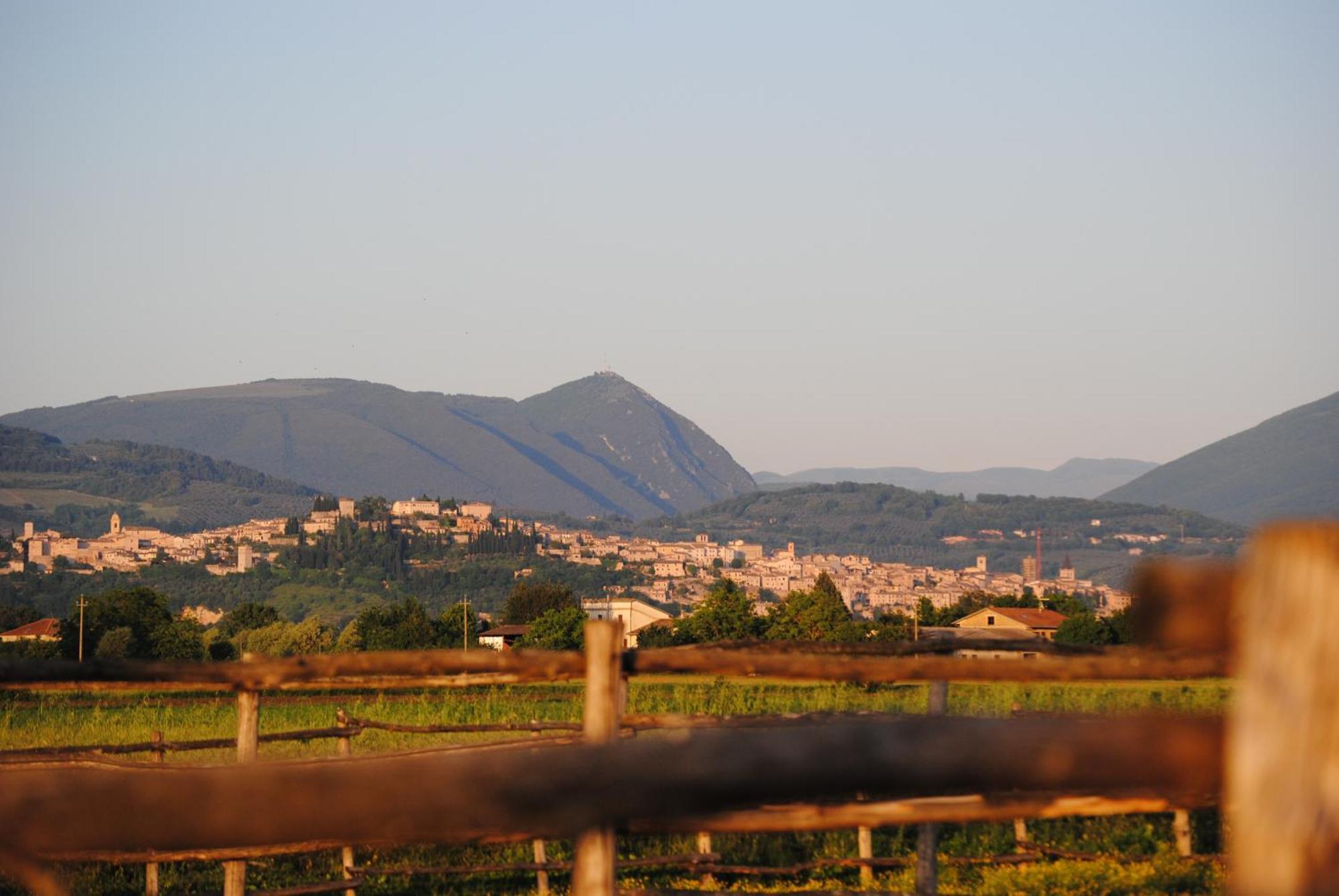 Agriturismo Il Barco Villa Spello Exterior photo